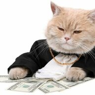 Rich Cat